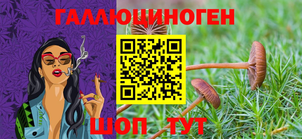 Галлюциногенные грибы MAGIC MUSHROOMS Касимов