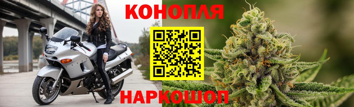 Бошки марихуана гибрид  Вход с VPN  Шишки марихуана планчик  Шишки марихуана семена  Касимов 